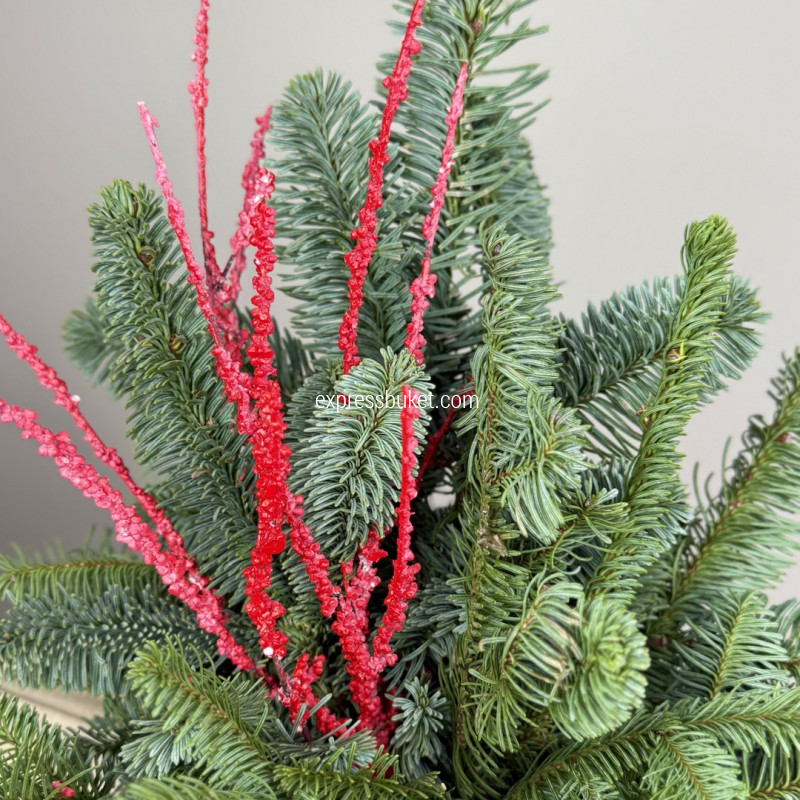 Новогодние чудеса