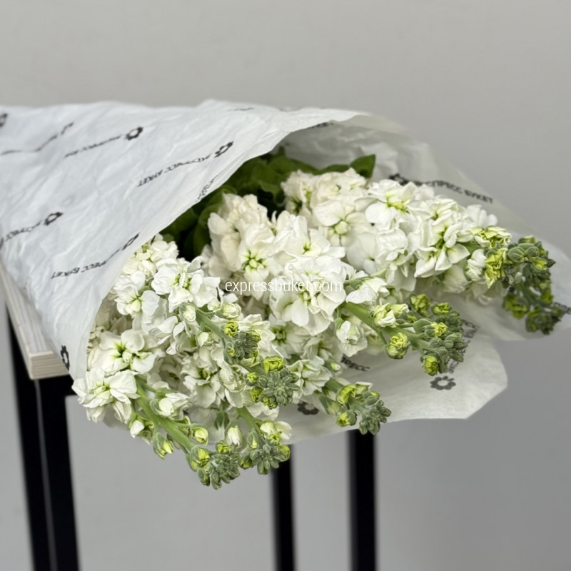 Белая маттиола, 10 шт 